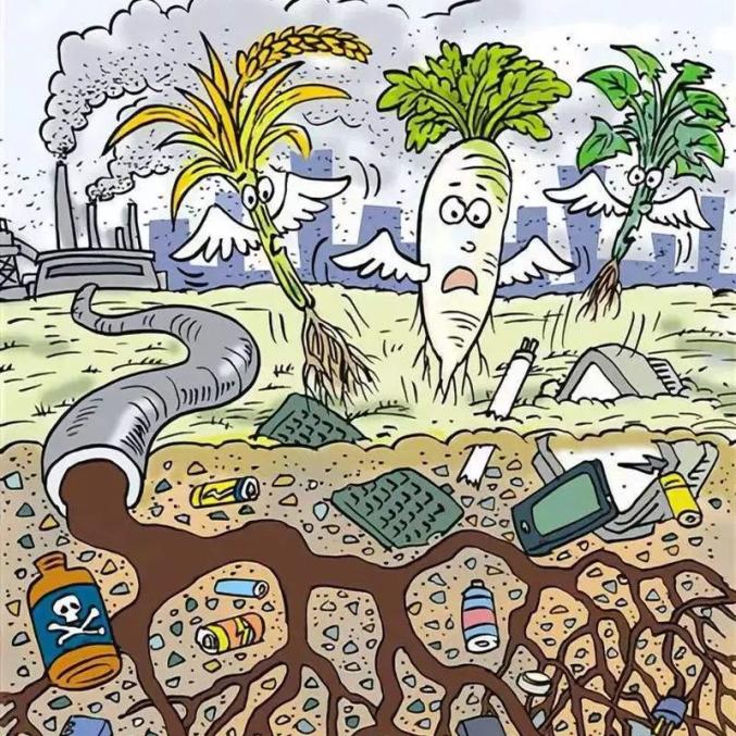 垃圾不分类的危害你了解吗? 垃圾不分类的危害你了解吗?